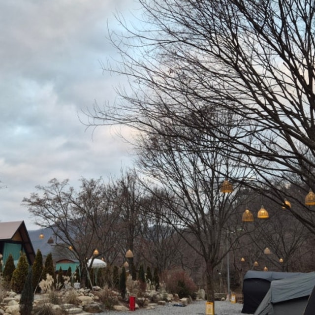 온온 대표 사진