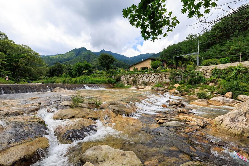 월성자연캠핑야영장 시설 사진 16