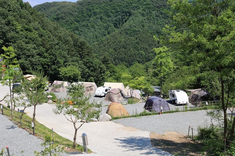 비발디캠핑파크 미루나무점 시설 사진 21