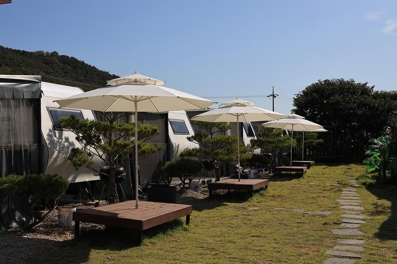 쥬라기 카라반 시설 사진 14