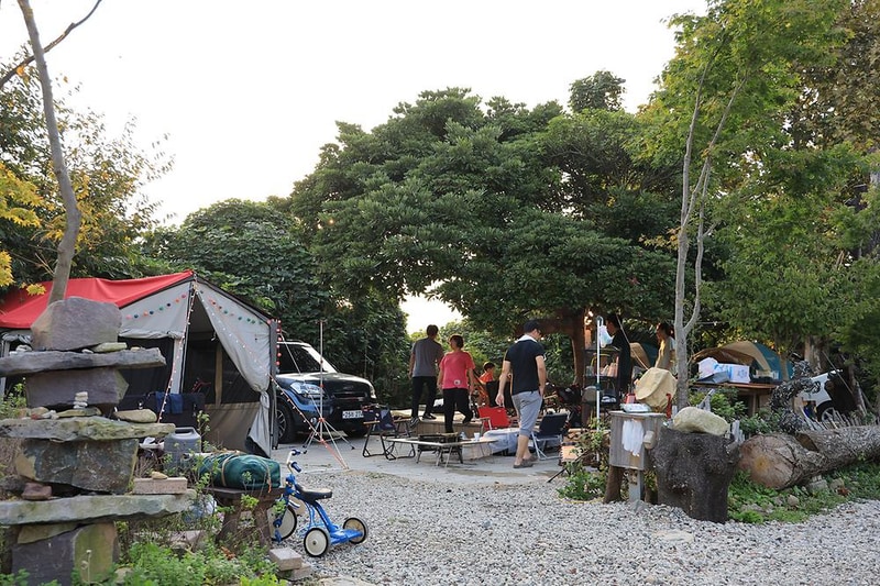 버드하우스 캠핑장 시설 사진 35