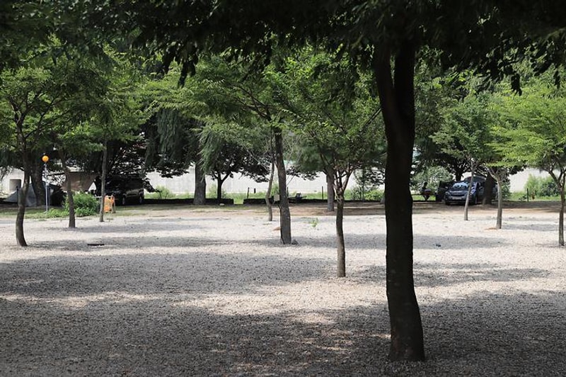 나드리야영장 대표 사진