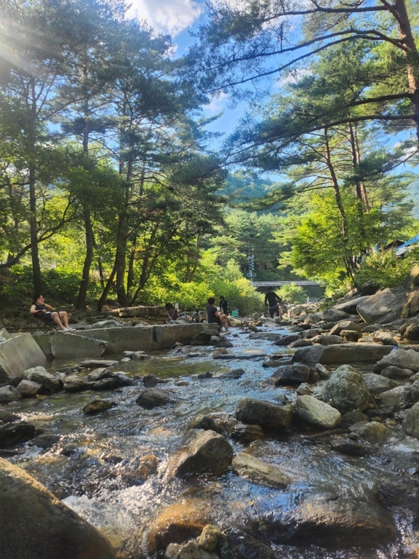 영월 산골캠핑장