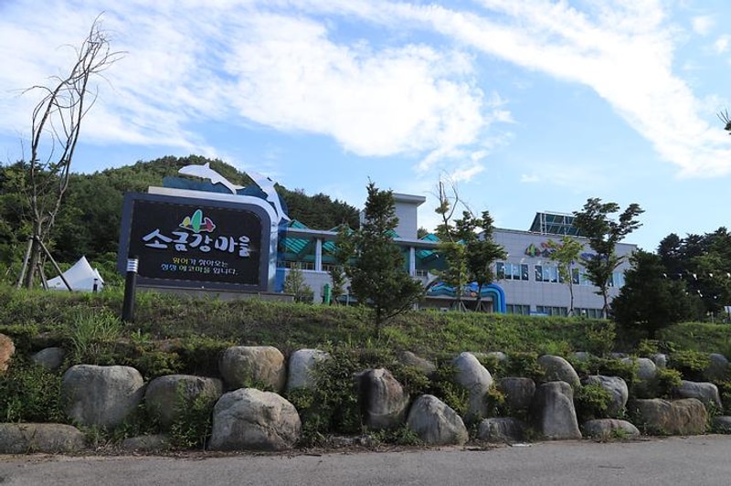 소금강마을에코센터 오토캠핑장 대표 사진