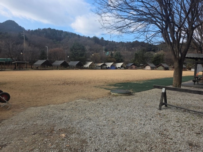[경기도 포천] 넓은마당 캠핑장 후기(큰마당 6번)