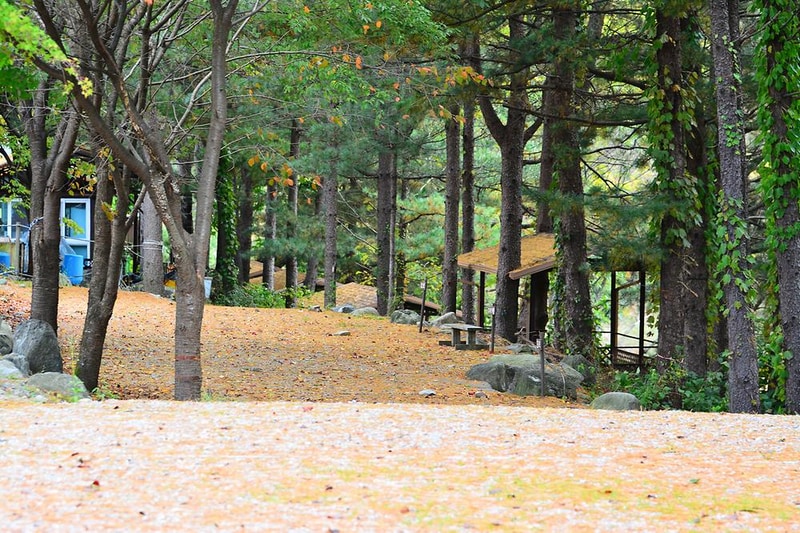 계곡풍경캠핑장 시설 사진 4