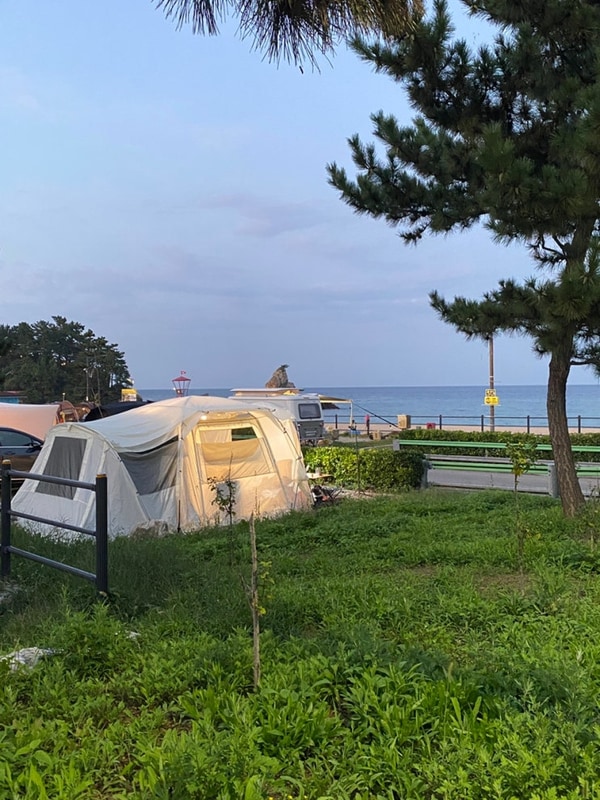 동해 추암오토캠핑장 C1 후기