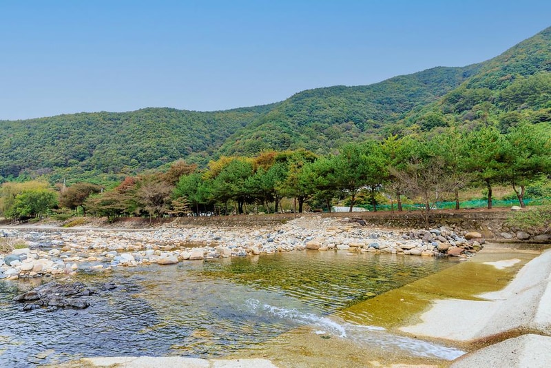 포레스트캐빈앤캠프 시설 사진 6