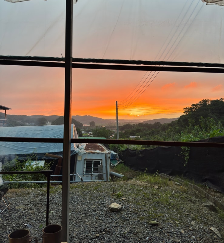 파주 단체 캠핑장 추천 수영장 그늘 있는 밤골캠핑장(w....