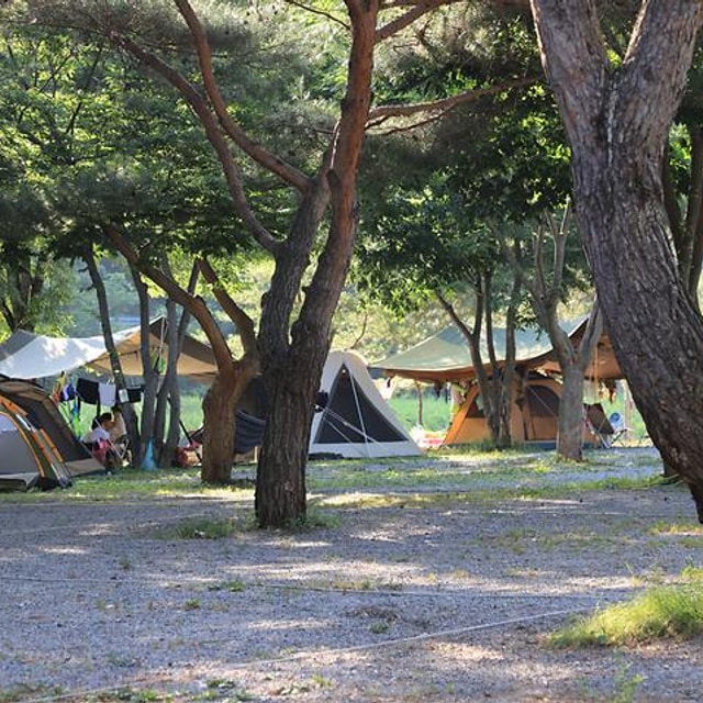 영월키즈캠핑장