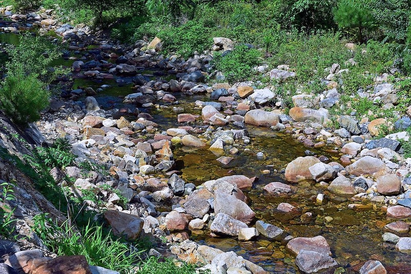 무릉도원 오토캠핑장 시설 사진 13