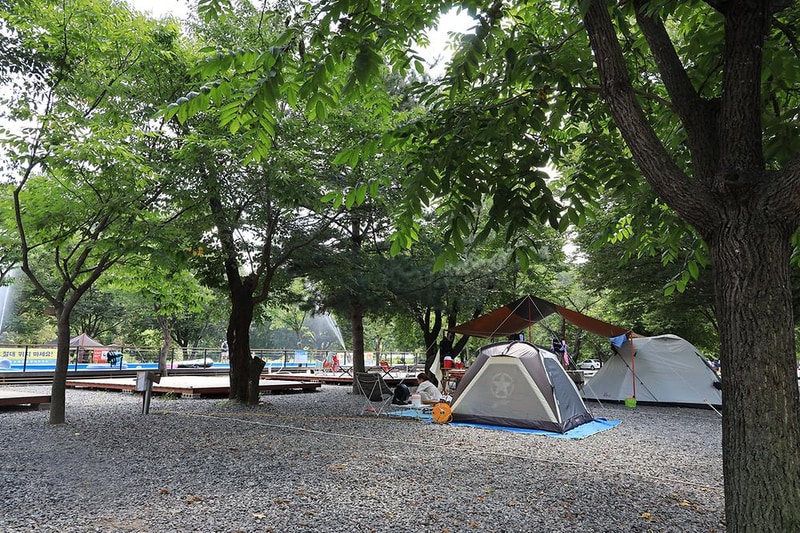 뉴힐링캠프 시설 사진 8