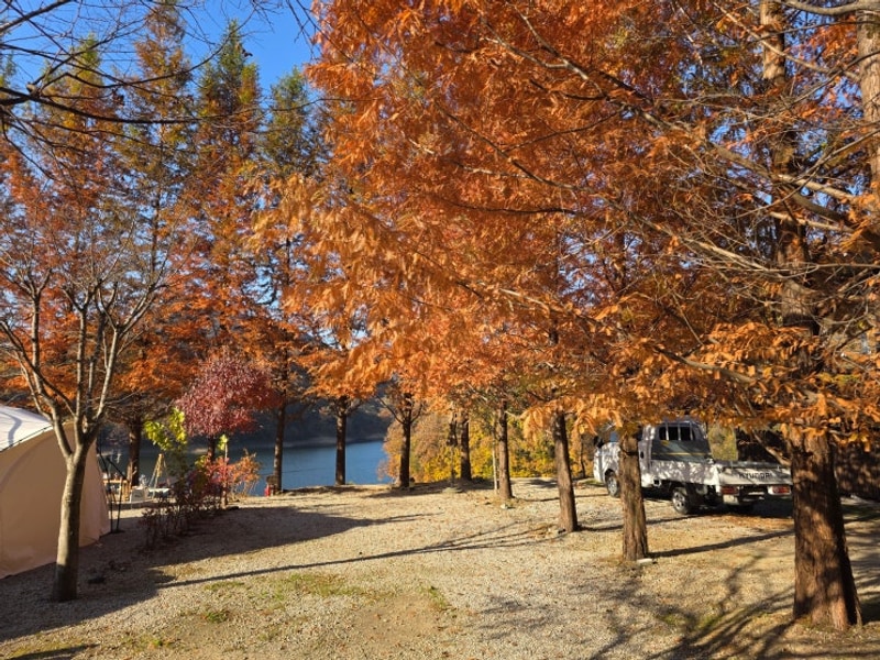 EP #1 충주 카누 캠핑장(25.11.15~11.16)