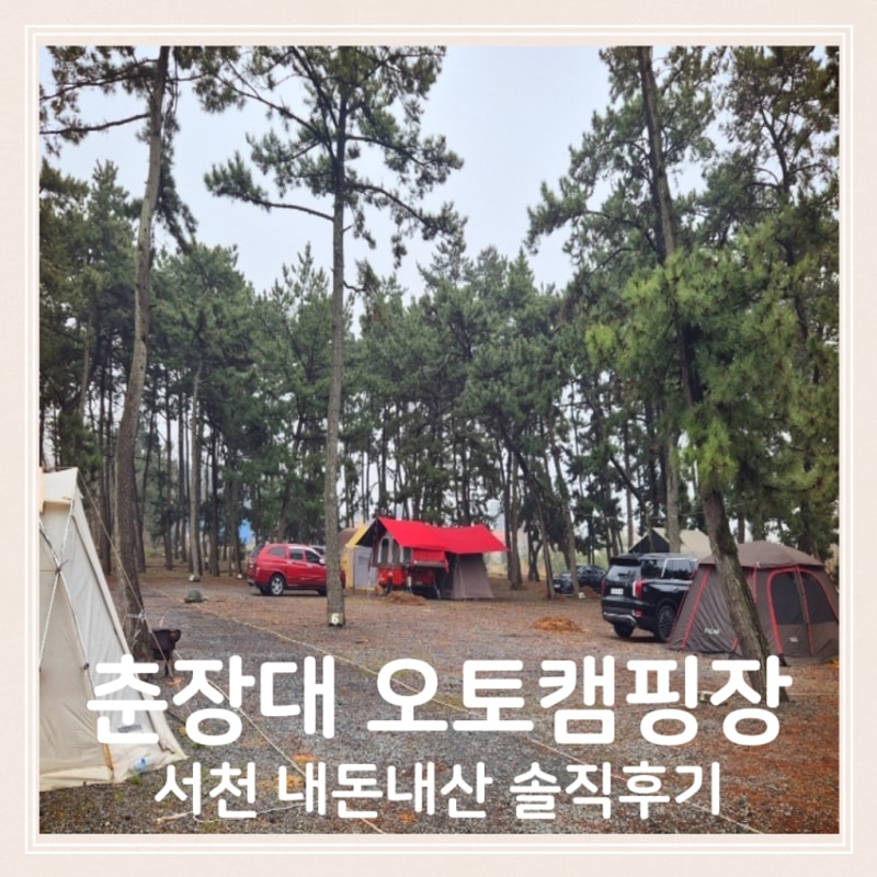 세상 편한 서천 춘장대 오토캠핑장 내돈내산 솔직후기