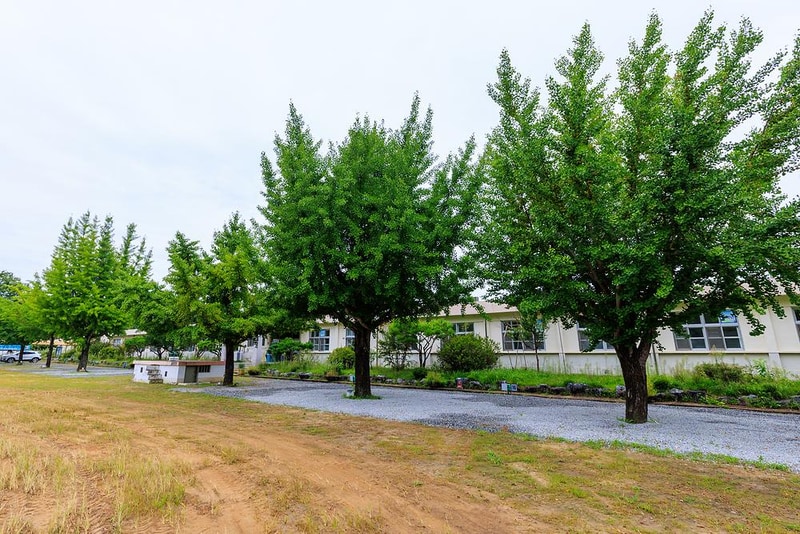 충주 비내캠프 체험학습장 시설 사진 2