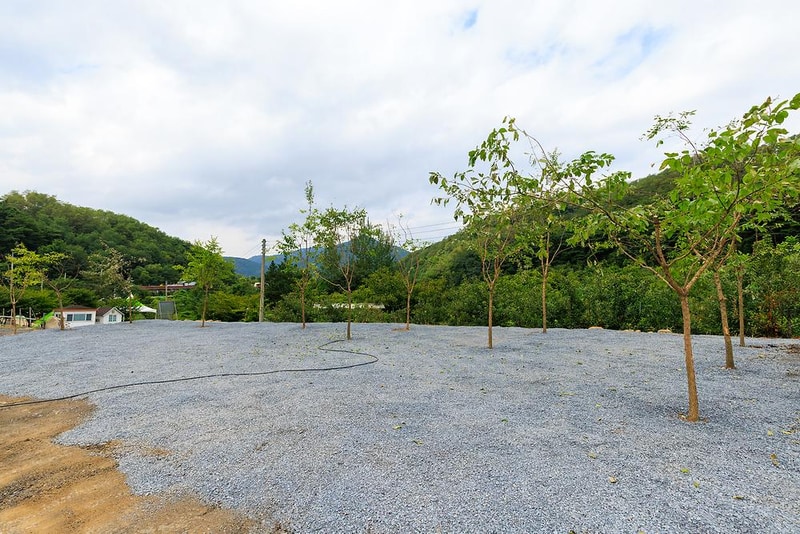 군위 솔밭야영장 시설 사진 8