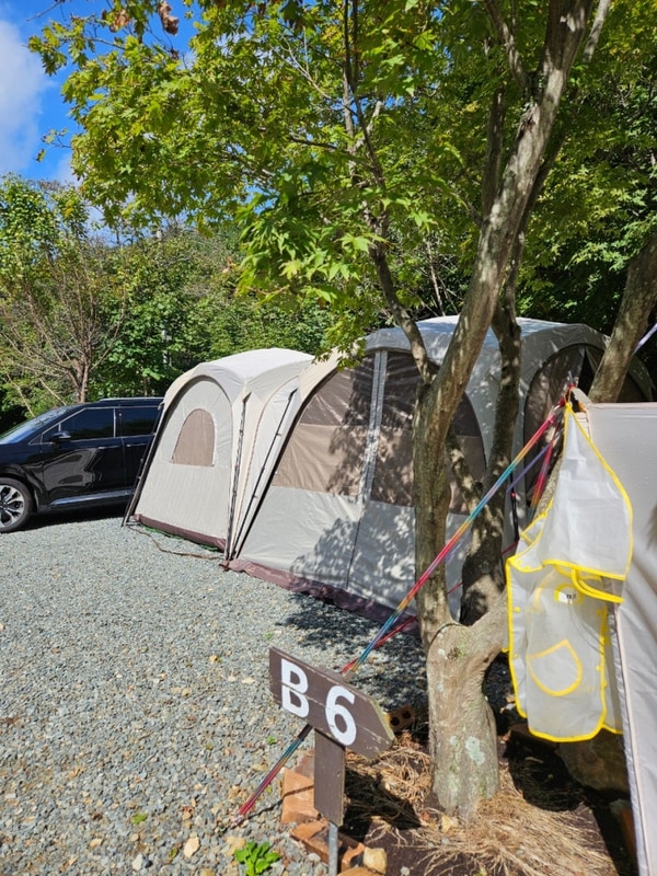 [현실 캠핑-5] 거제 복골 캠핑장(B 5번) 그냥 기록용