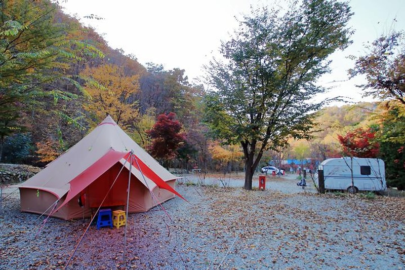 THATS CAMPING 횡성자연휴양림야영장 대표 사진