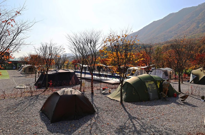 캠프원 시설 사진 13