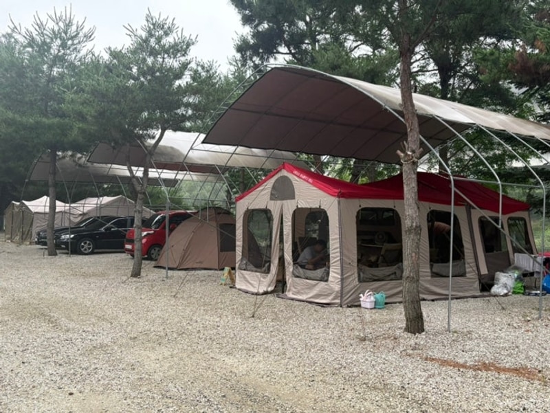 서울근교 애견동반 캠핑장 경기도 포천 리버빌캠핑&카페