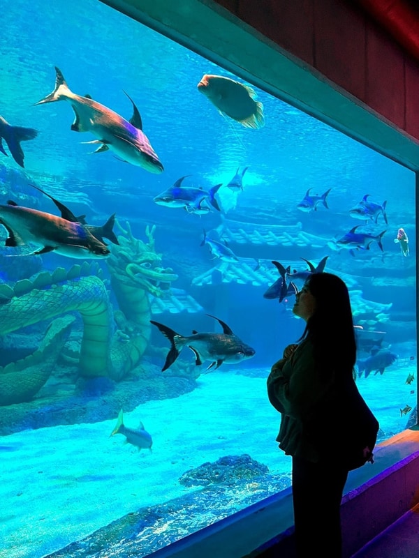 사천 감성숙소 카우글램핑 G 조금은 실망스러운 내돈내산 후기