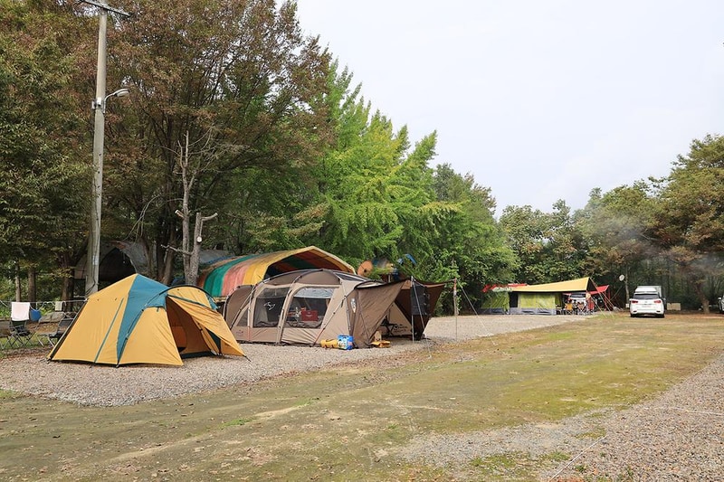 소망캠핑장 시설 사진 8