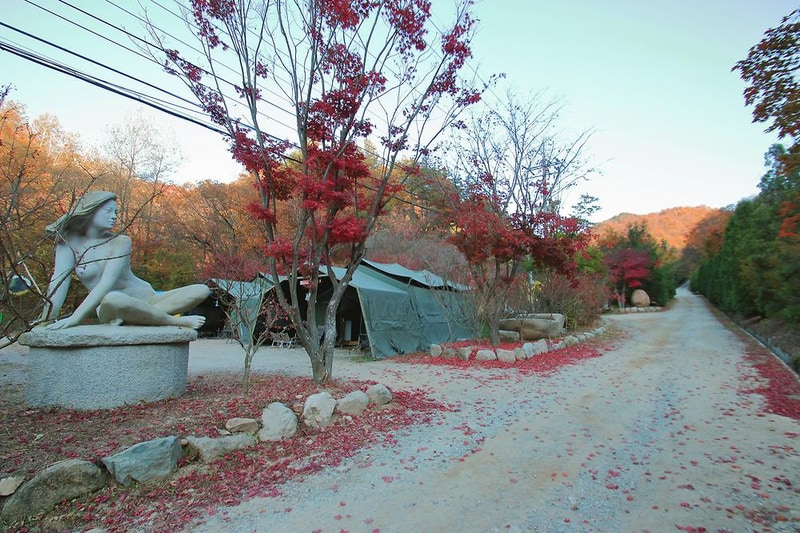 THATS CAMPING 횡성자연휴양림야영장 시설 사진 9