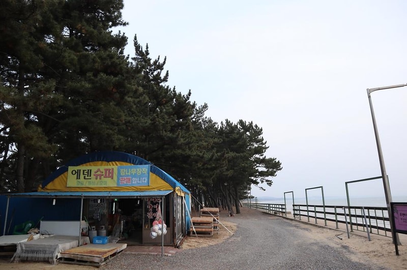 몽산포오토캠핑장 2구역 시설 사진 4