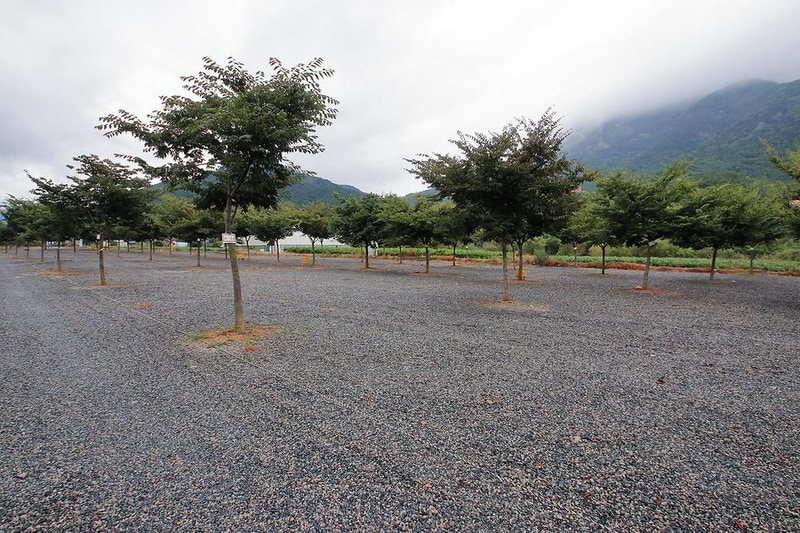 캠프원 관광농원 시설 사진 7