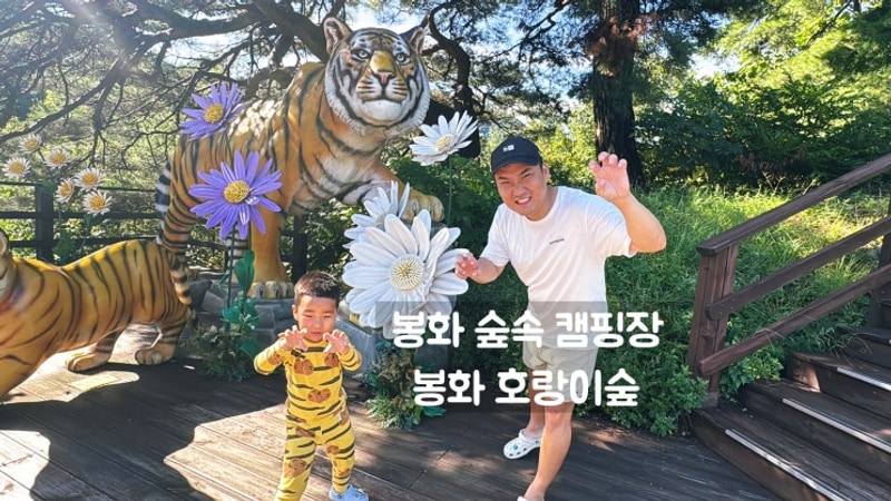 봉화숲속캠핑장 A존 1,2 비오는 9월의 캠핑. 그리고 백두대간...