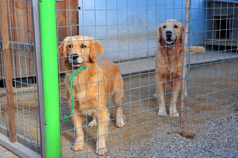놀터글램핑 시설 사진 3