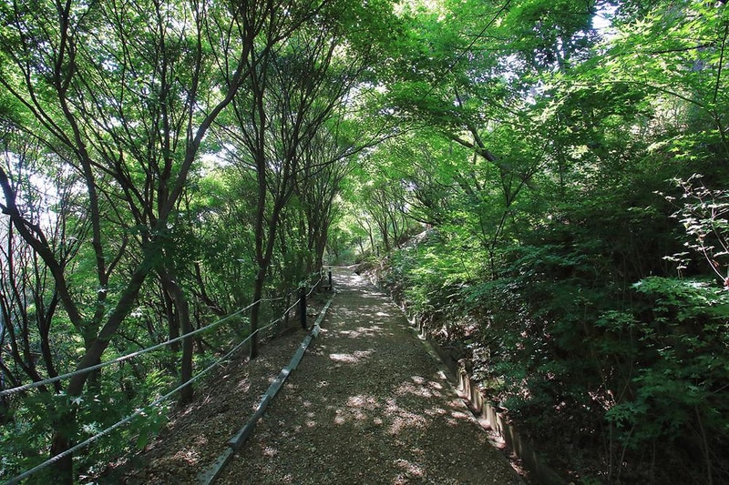 이안숲속오토캠핑장 시설 사진 16