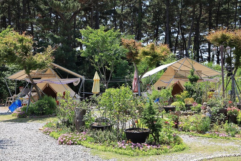 샛별글램핑 시설 사진 15