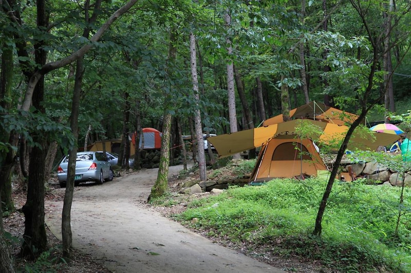 와룡자연휴양림 자동차야영장 시설 사진 20