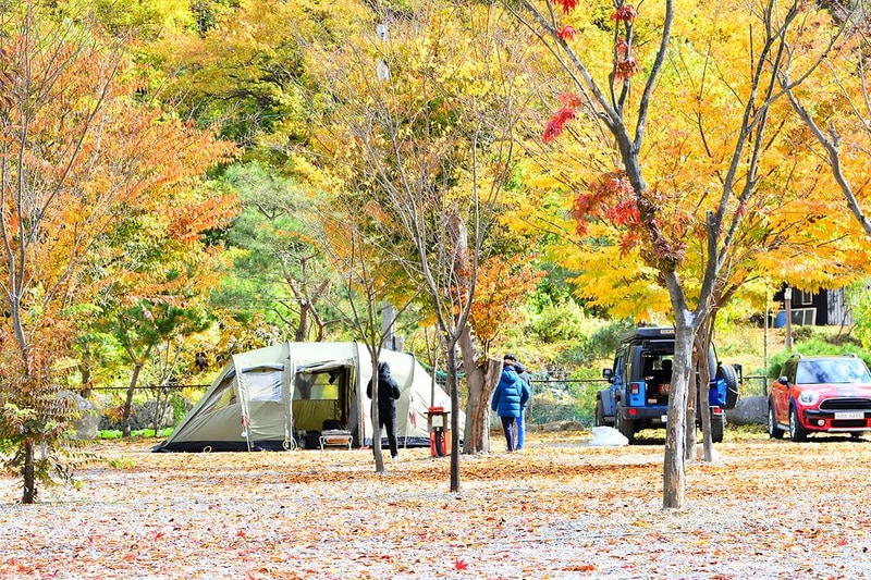 홀리데이캠핑장 시설 사진 3