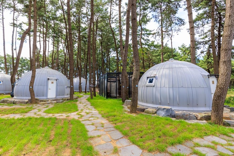 서천 장항글램핑장 시설 사진 6