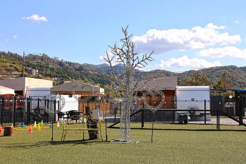 도그랜드 캠핑장 시설 사진 9