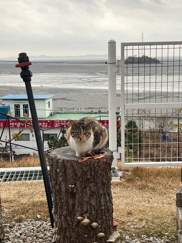 강화 카라반 여행~~