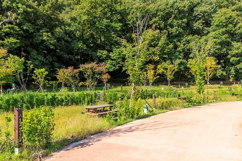 송림 힐링캠핑장 대표 사진