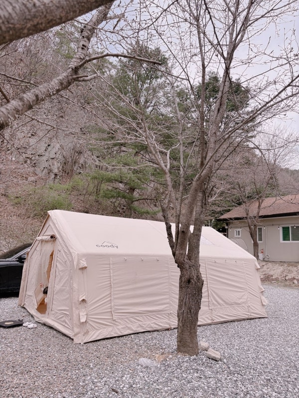 벚꽃뷰 가능한 갈기산펜션캠핑장 E사이트 후기 / 쿠디에어텐트...