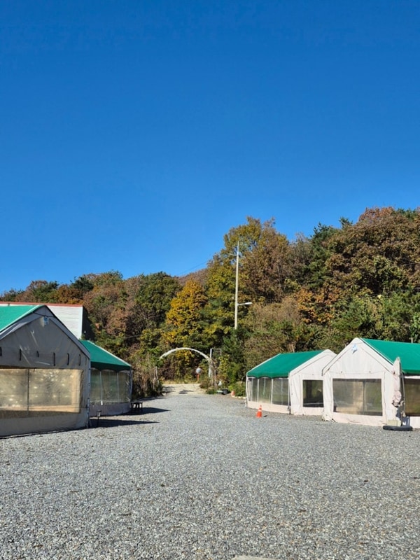 자장캠핑장(파주)