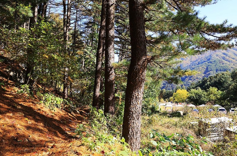 힐링캠프 제이앤엘(J&L) 시설 사진 1