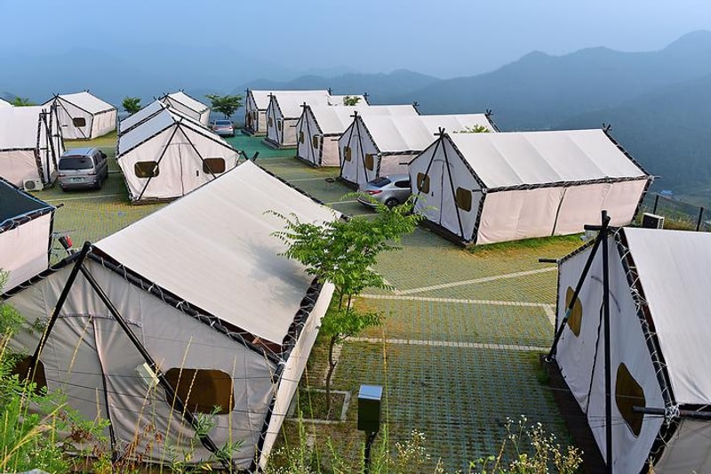 (주)밀모빨강치마 대표 사진