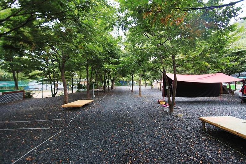 배너미오토캠핑장 대표 사진