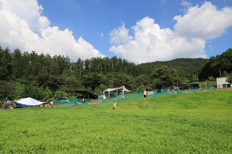개똥이네캠핑장 시설 사진 3