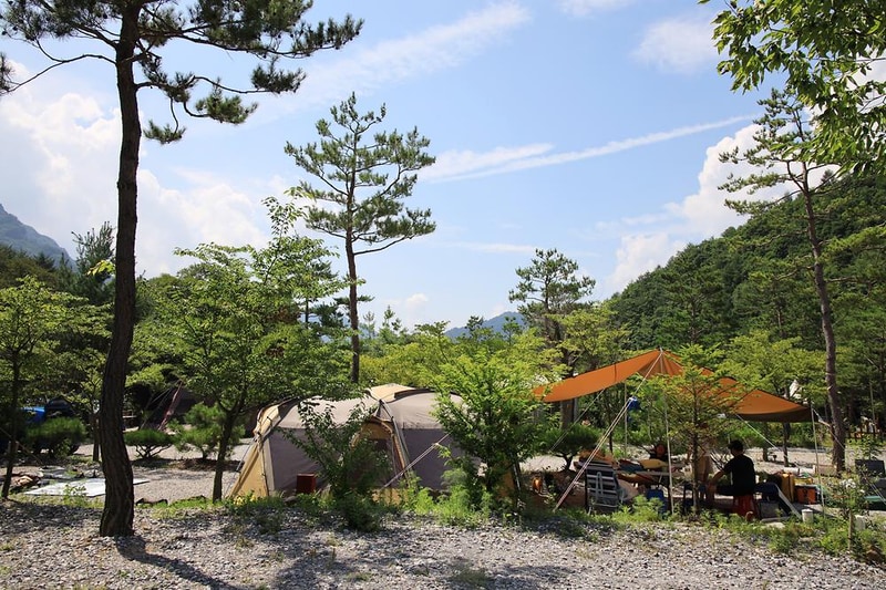 평창 보물섬캠핑장 시설 사진 9