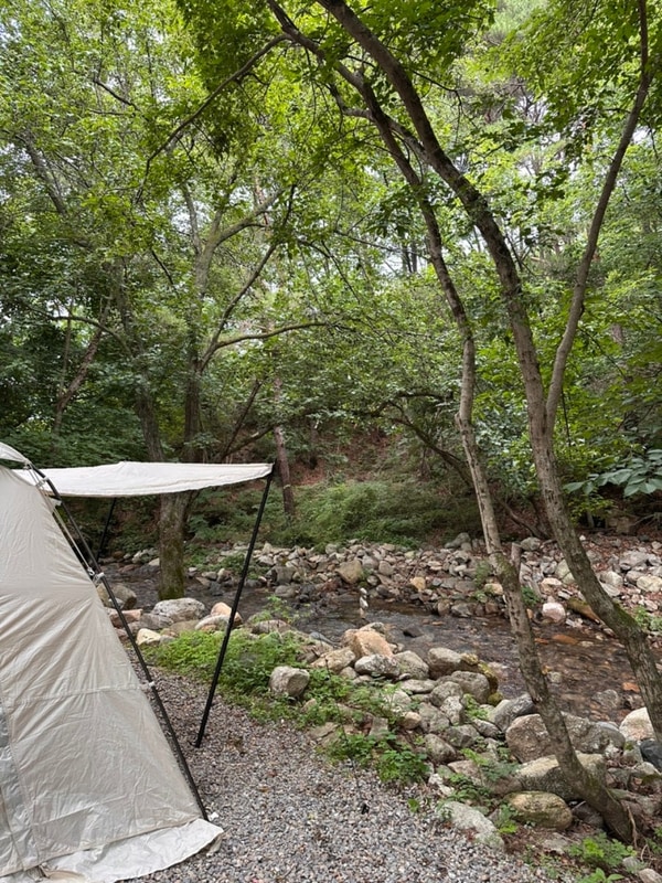 바로 앞에 계곡이 있는 강원도 홍천 서석캠핑장 A6사이트 후기