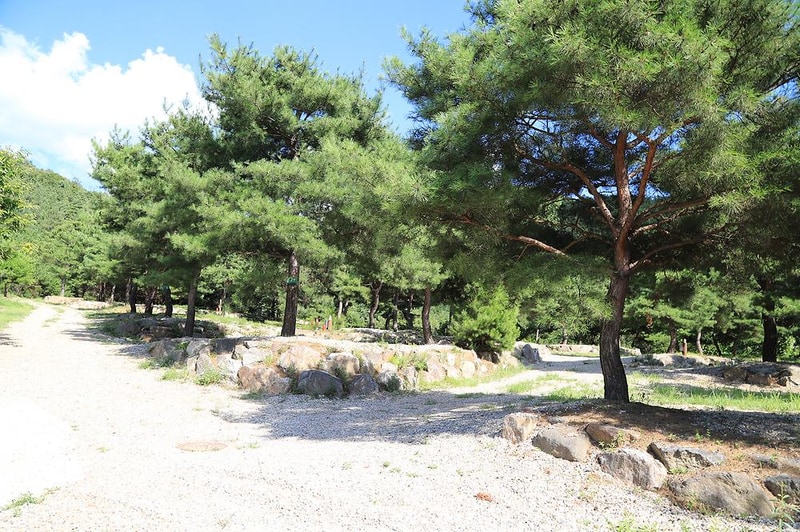 숲속의야영장 시설 사진 15