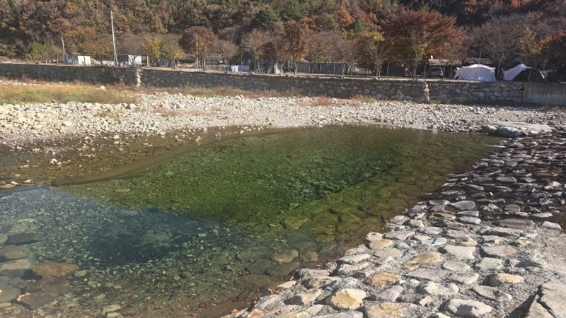 [청도 캠핑] 청도 조은자리 캠핑장 후기｜아이들과 힐링하기...