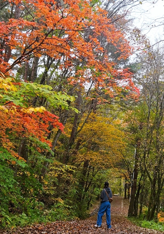 설악산 단풍 코스 트래킹 & 인제 백담고을캠핑장 후기
